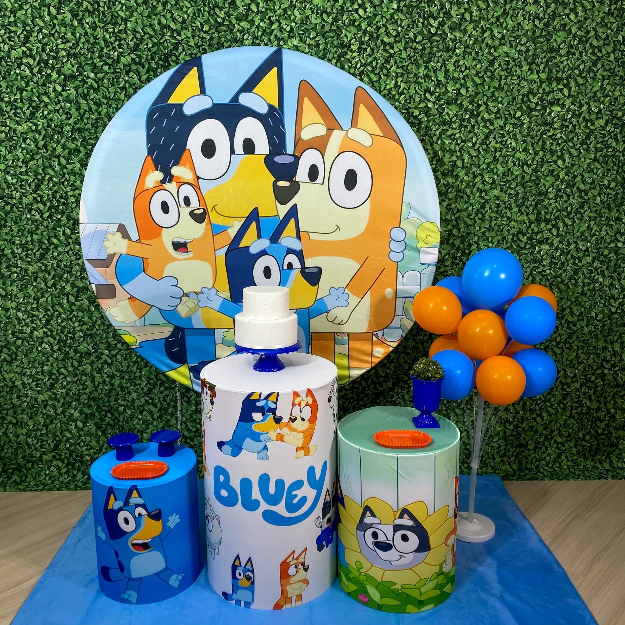 Kit Bluey - Menino